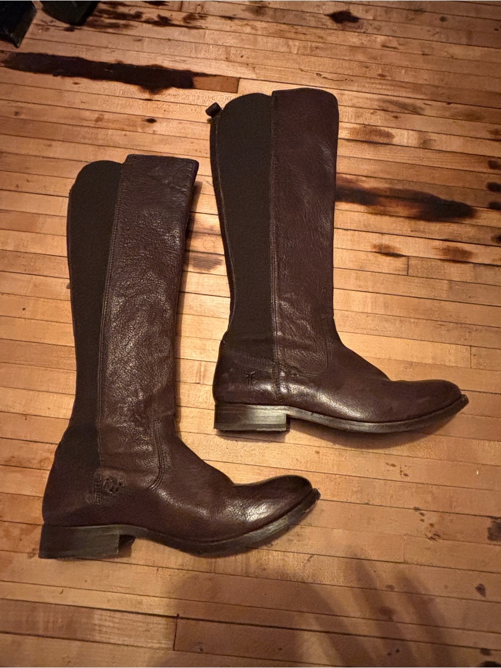Frye Molly Gore Dark Brown Leather Stretch Riding Boot